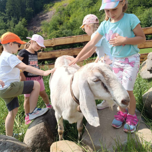 fajnovo aktivity (3)